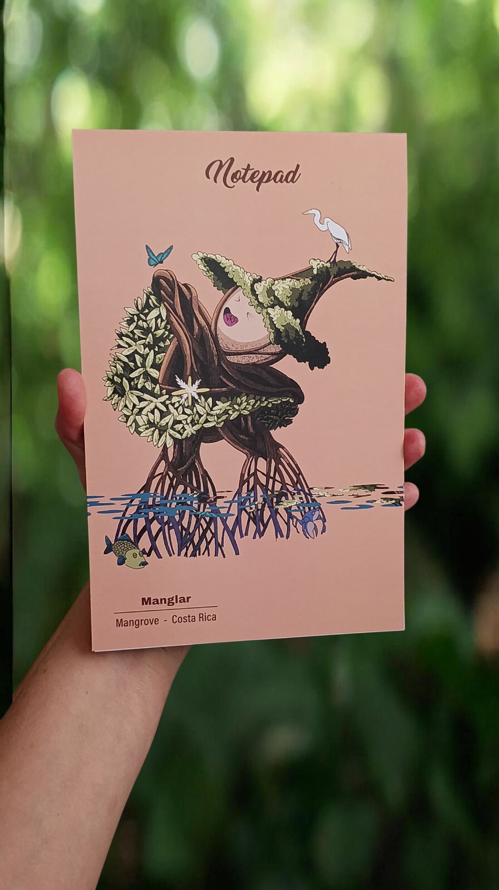 Miniatura: Libretas de notas
