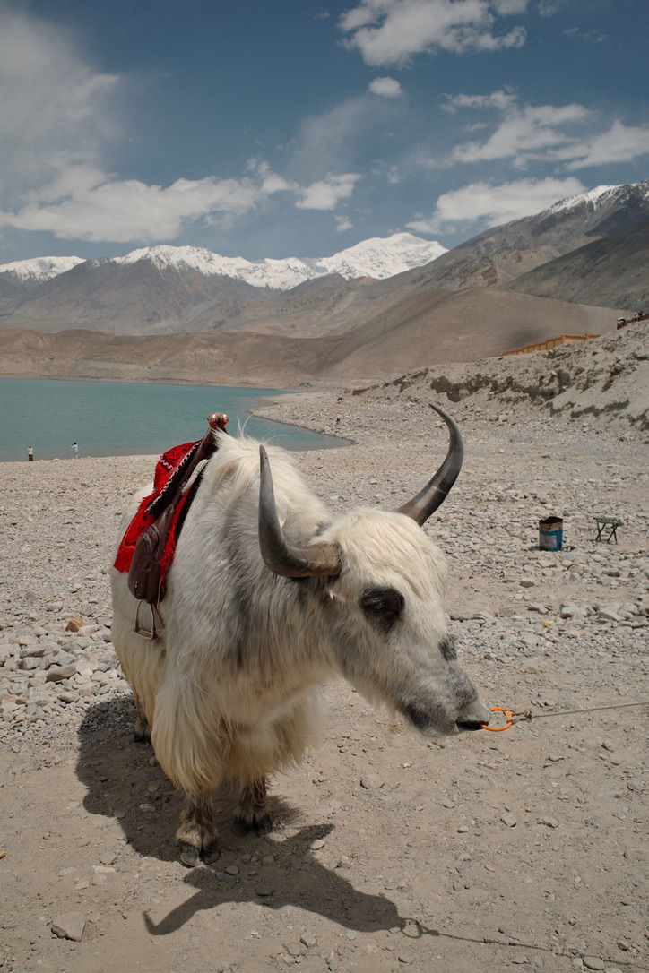 “Xinjiang Through My Lens: A Land of Boundless Beauty”5160A3EB-32C9-4A91-A9AB-D2576A3AFD99_1_105_c