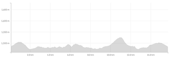 ARC Irene 15km Trail Elevation - 164m_Jan2026.png