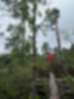 IMG_8499.jpeg
