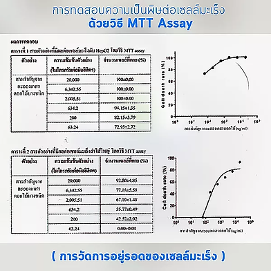 งานวิจัย.webp