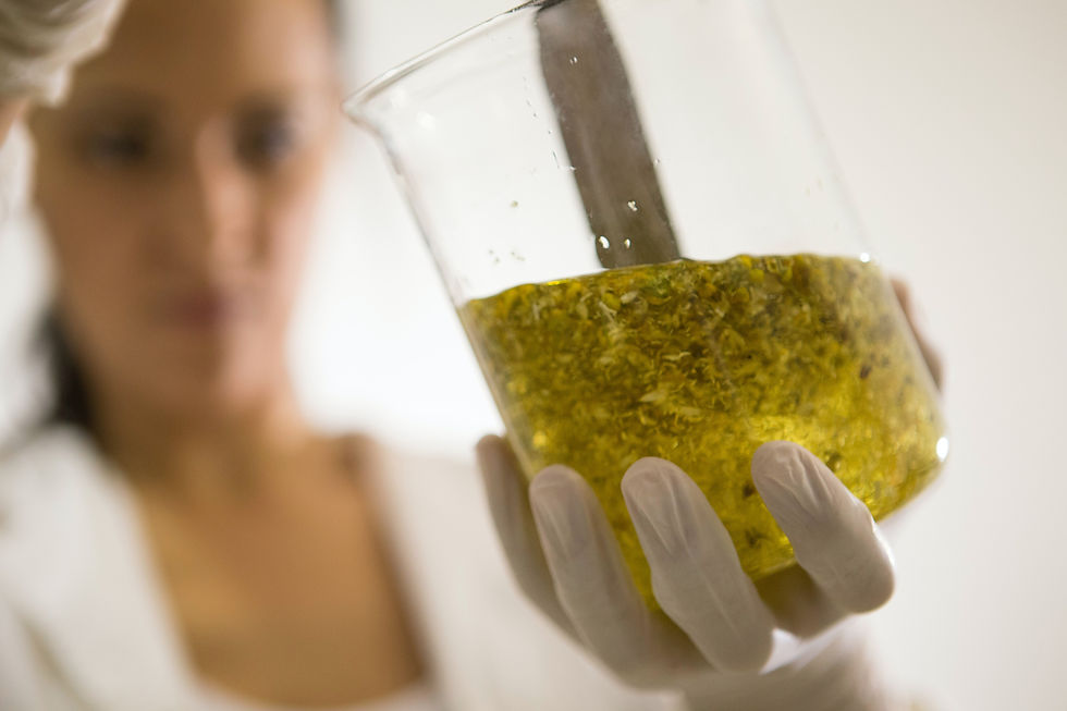 Cosméticos orgânicos e naturais X Cosméticos sintéticos