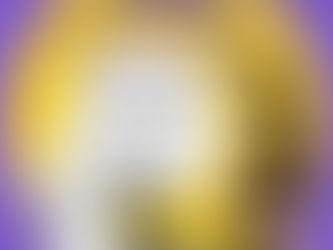 ฝึกงานทิพย์