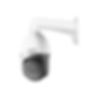 Untitled design (68).png