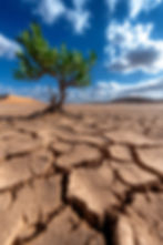 ProblemStatement Drought2.jpg