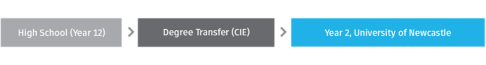 CIE_Pathway_diagrams_NOV_2022_Degree_Transfer.png