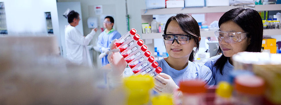 Banner1_1200x450_Foundation_Studies_for_Medicine.jpg