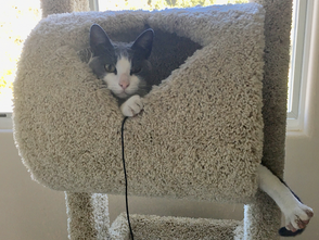 Rosie, being your best