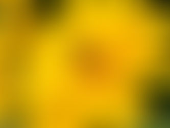 Be the HAPPY in your NEW YEAR