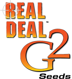 real deal 2.webp