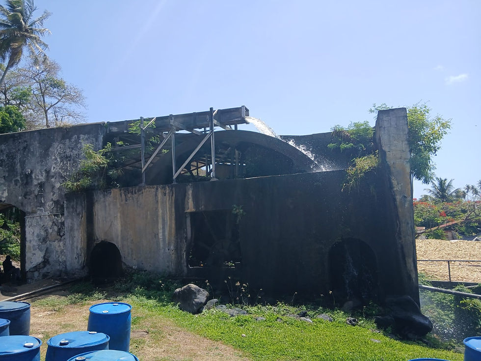 River Antoine Rum Distillery
