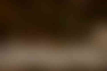 table setting with greenery