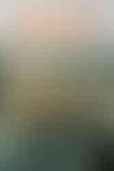 Cinematic maternity photographer in New York City capturing a couple’s last walks through the East V