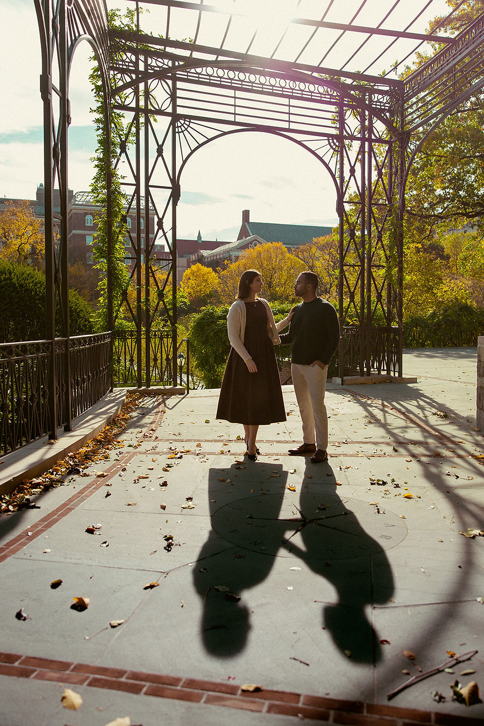 Proposal under wisteria arbor in Central Park Italian Garden