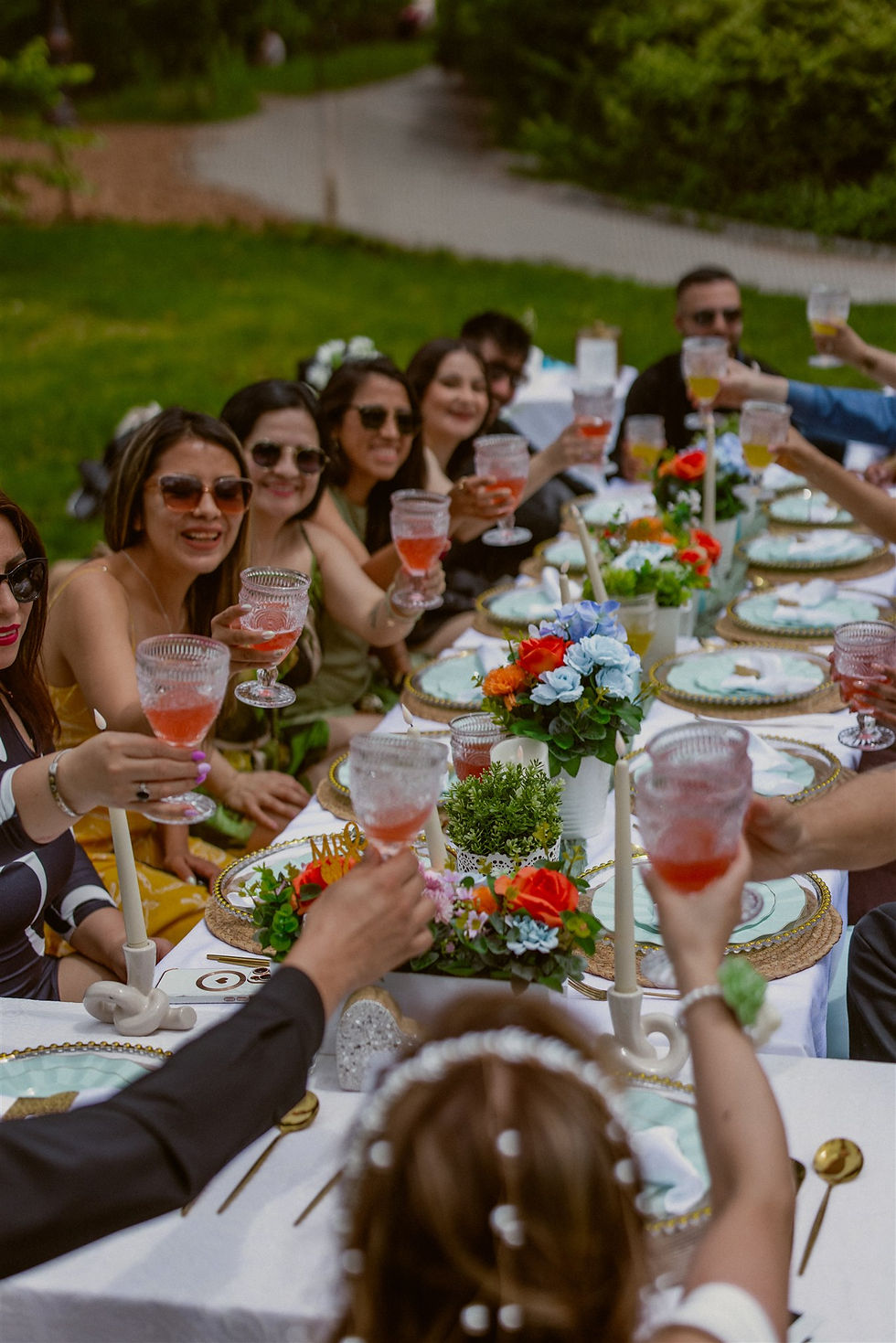wedding party lifting their glasses to cheers the couple at a picnic on cherry hill