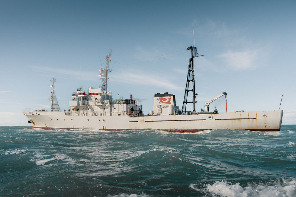 260326-OPKW1-bandero on the way-_ZIC7504_© Soizic Roux - CPWF.jpg
