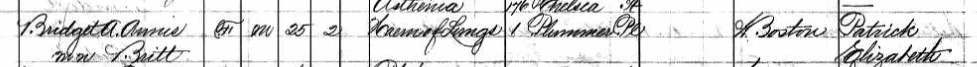 Annie Bridget Annis née Britt death 1888