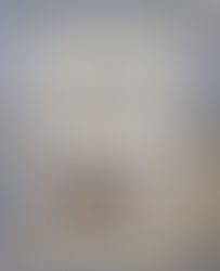 Harry C. Johnson from Chicago