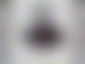 Auguste Steger née Rosinus from Mittweida