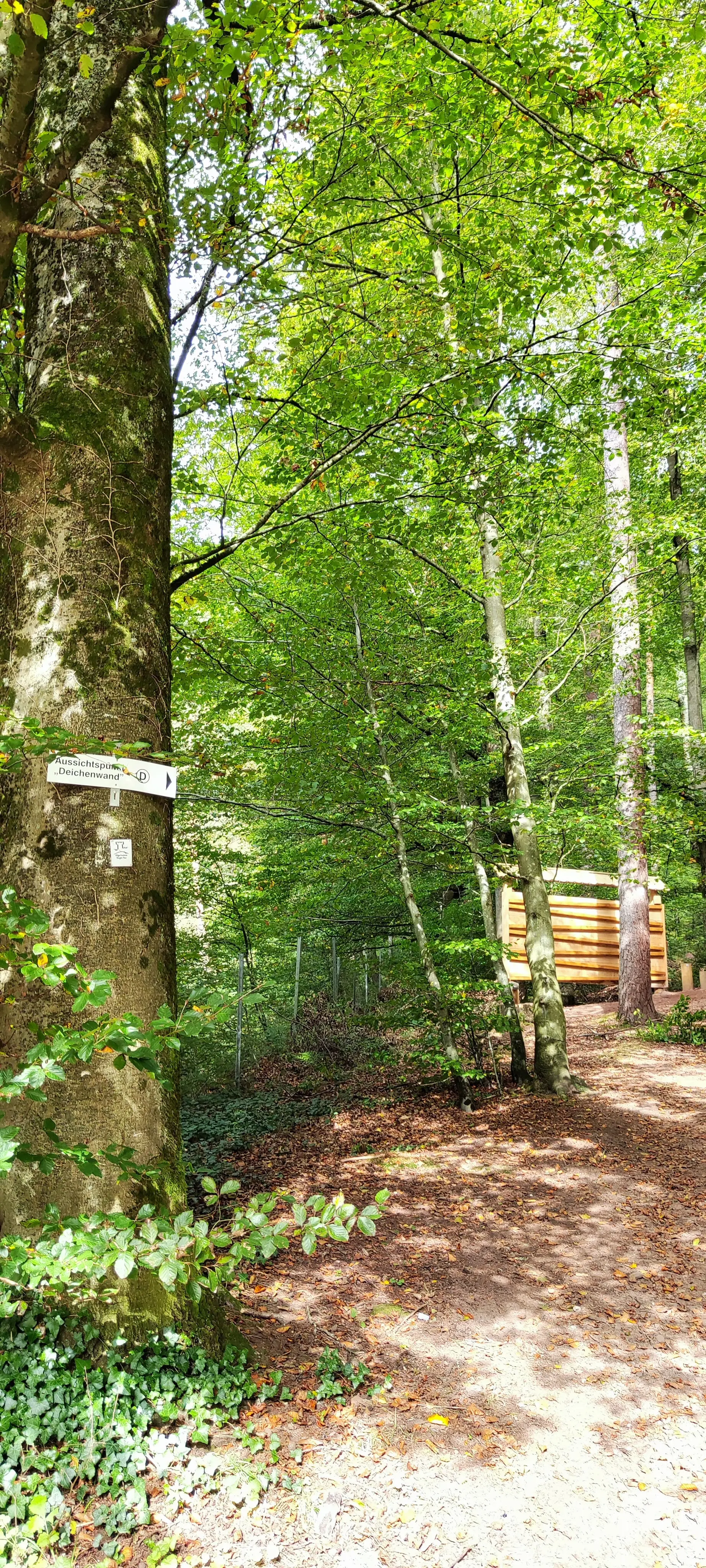 Waldweg mit erster Station der Waldmurmelbahn