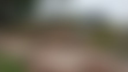 Spielplatz Königsbach