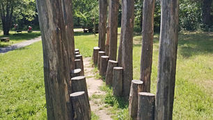 Auerochsen Tour in St. Martin