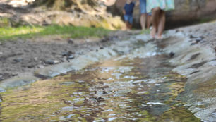 Erfrischung an der Queichquelle