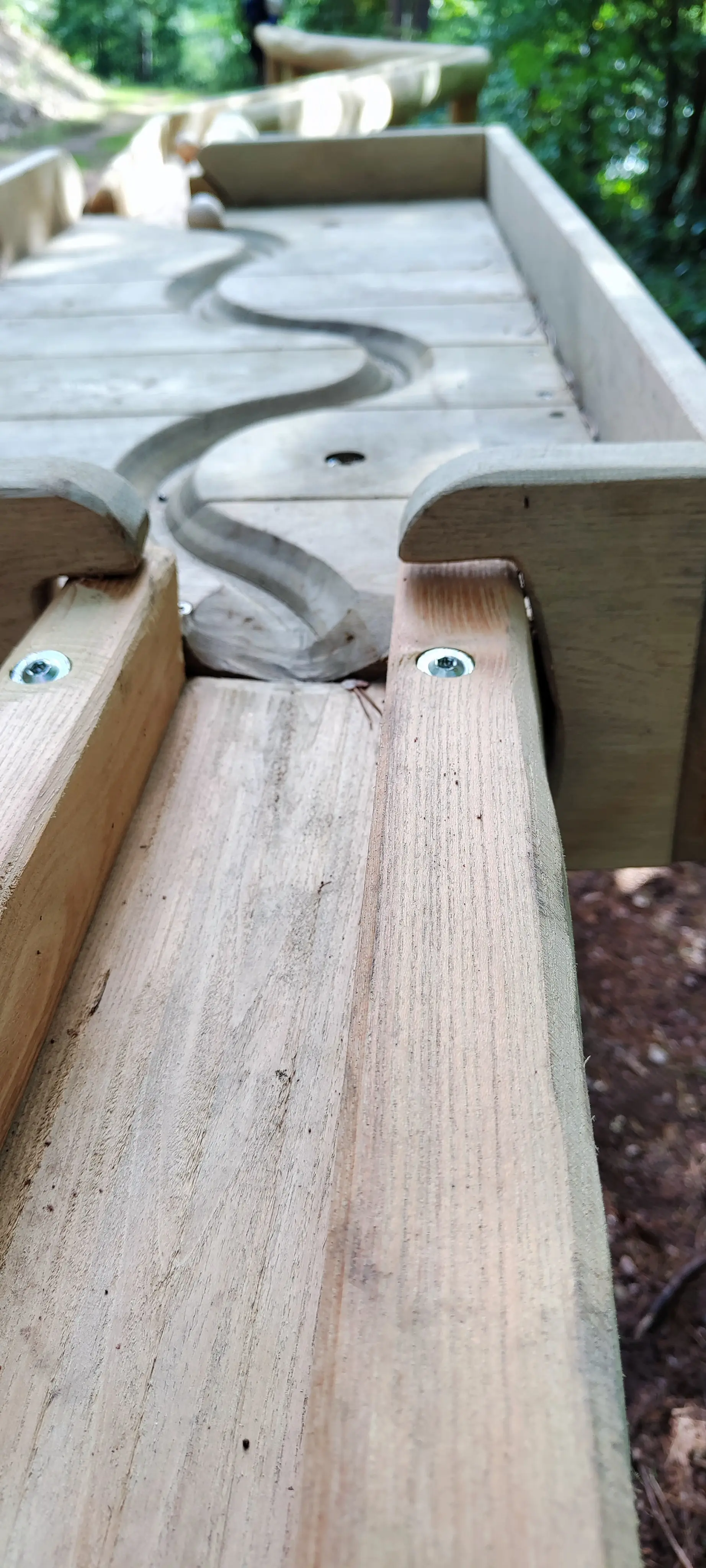 Waldkugelbahn mit geschwungener Bahnführung