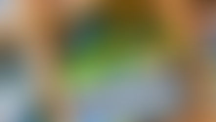 Lies' mal wieder - in der Bücherei