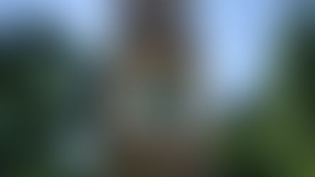 Beginner Trail: Zur Amiticia-Hütte