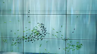 Mitmachausstellung ELEMENTA