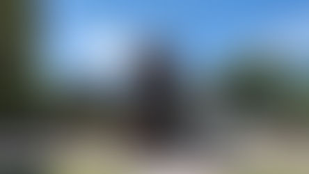 Spielplatz am Sollachsee