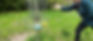 Disc Golf Parcours in der Pfalz