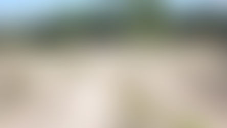 Pumptrack in Neustadt für verschiedene Level