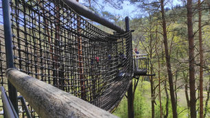 Baumwipfelpfad in Fischbach