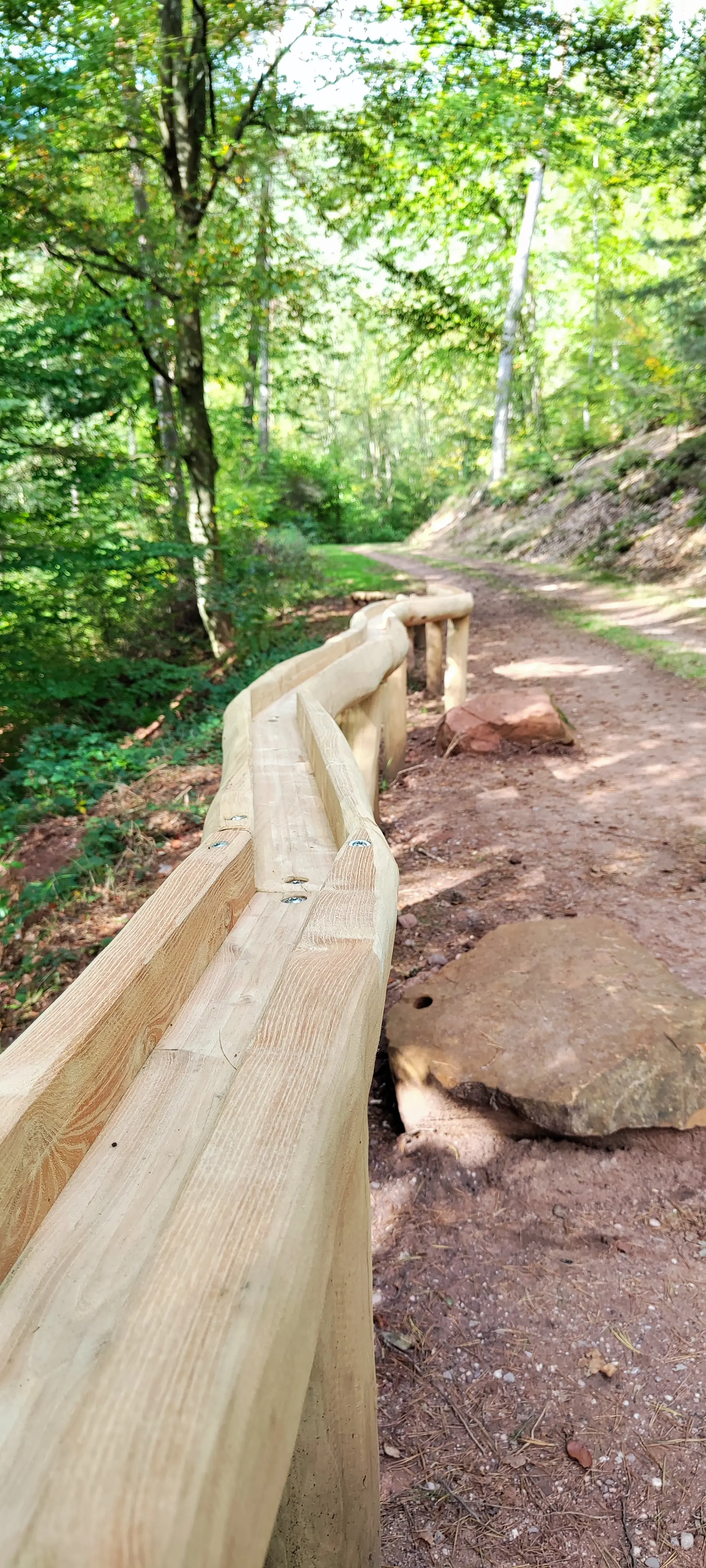Waldkugelbahn mit langem Rollelement