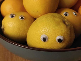 Wackelaugen am Obst