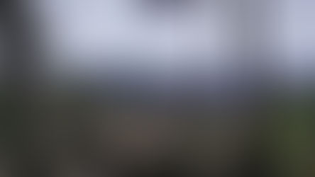 Von der Burg Landeck zum Weißen Fels