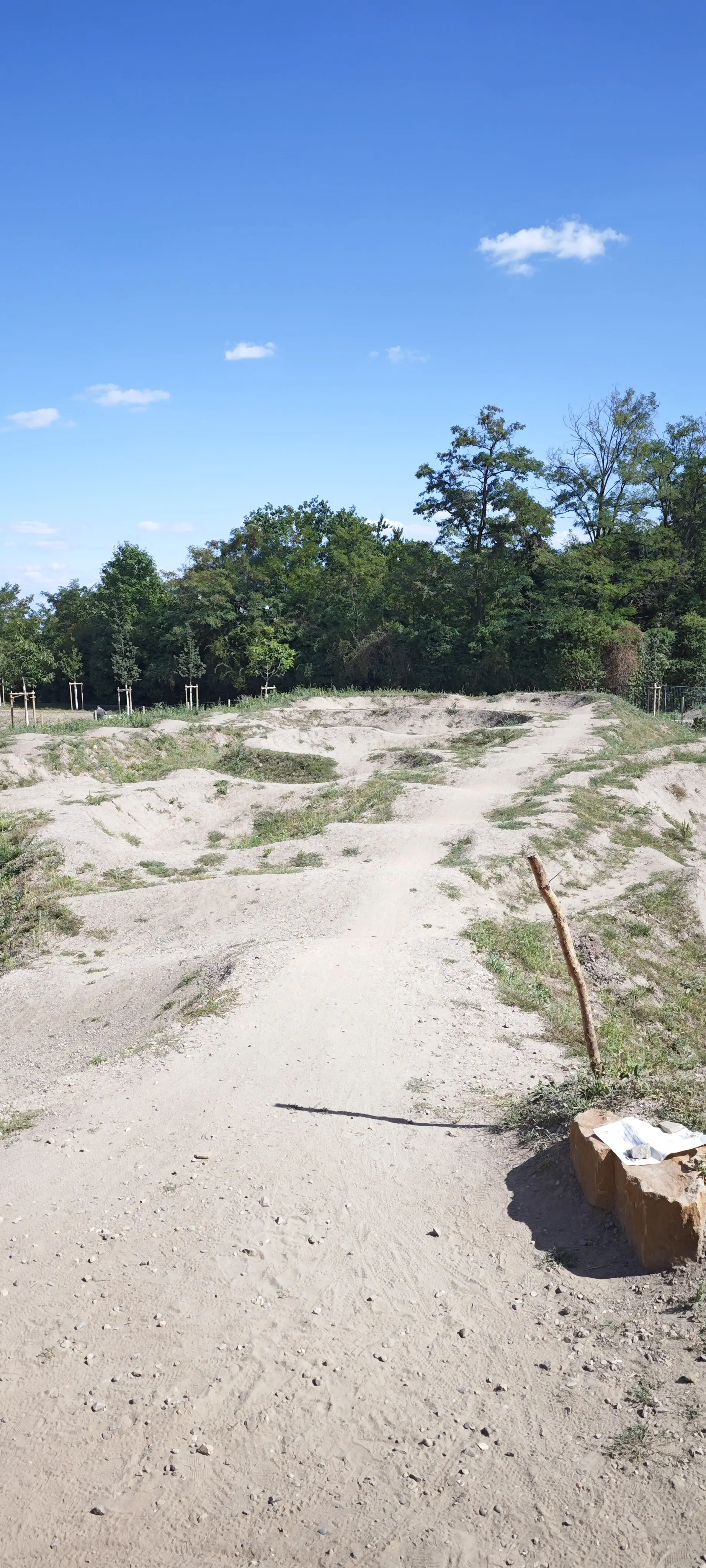 Fahrlinie des Pumptracks Neustadt