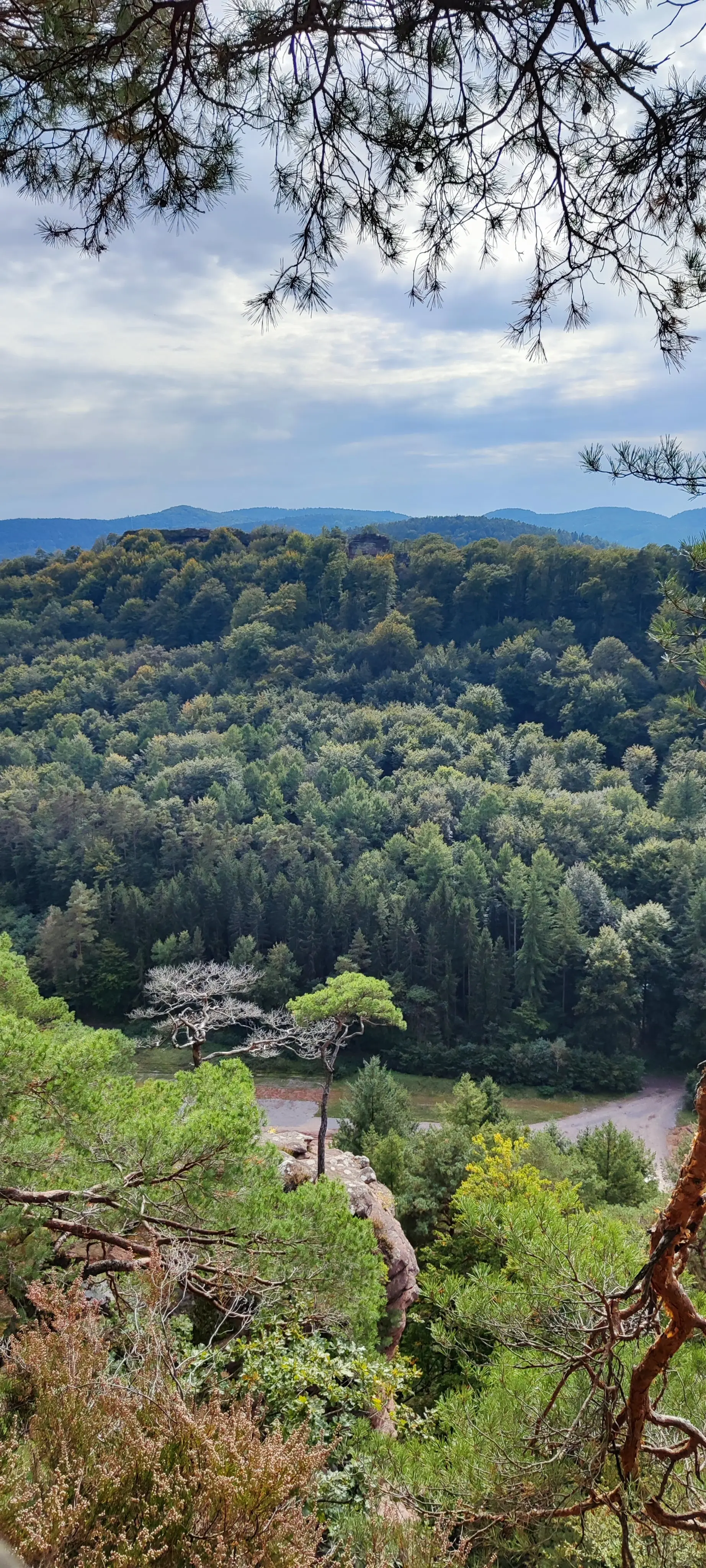 Aussicht oberhalb des Waldweges