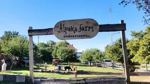 Alpaka Farm Donnersberg