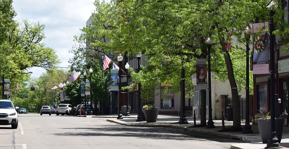 A few of the ArtScape banners featured in downtown Jamestown.
