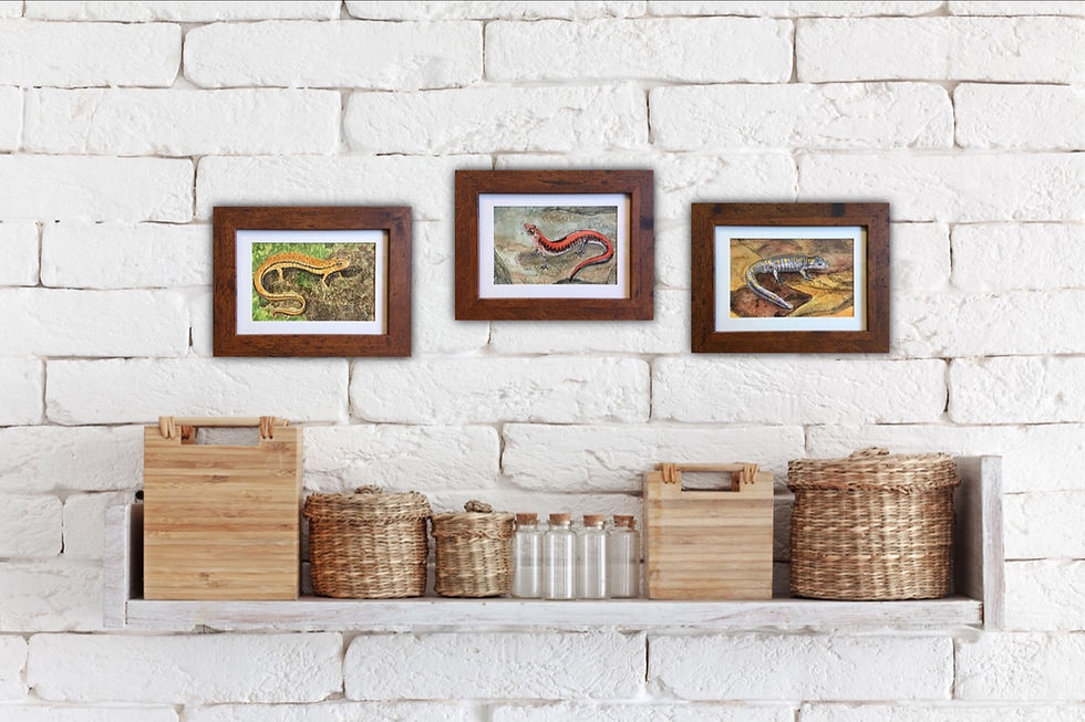 Thumbnail: Red-backed Salamander, original watercolor