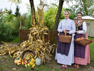 Festival voća