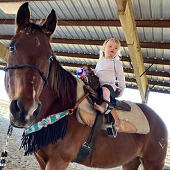 barrel racing bling tack on horse