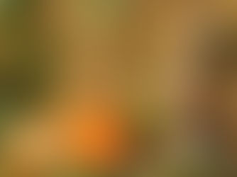 [Fiction] Under a Flowerpot at the Edge of the Garden