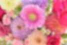 Florist-In-Toowoomba