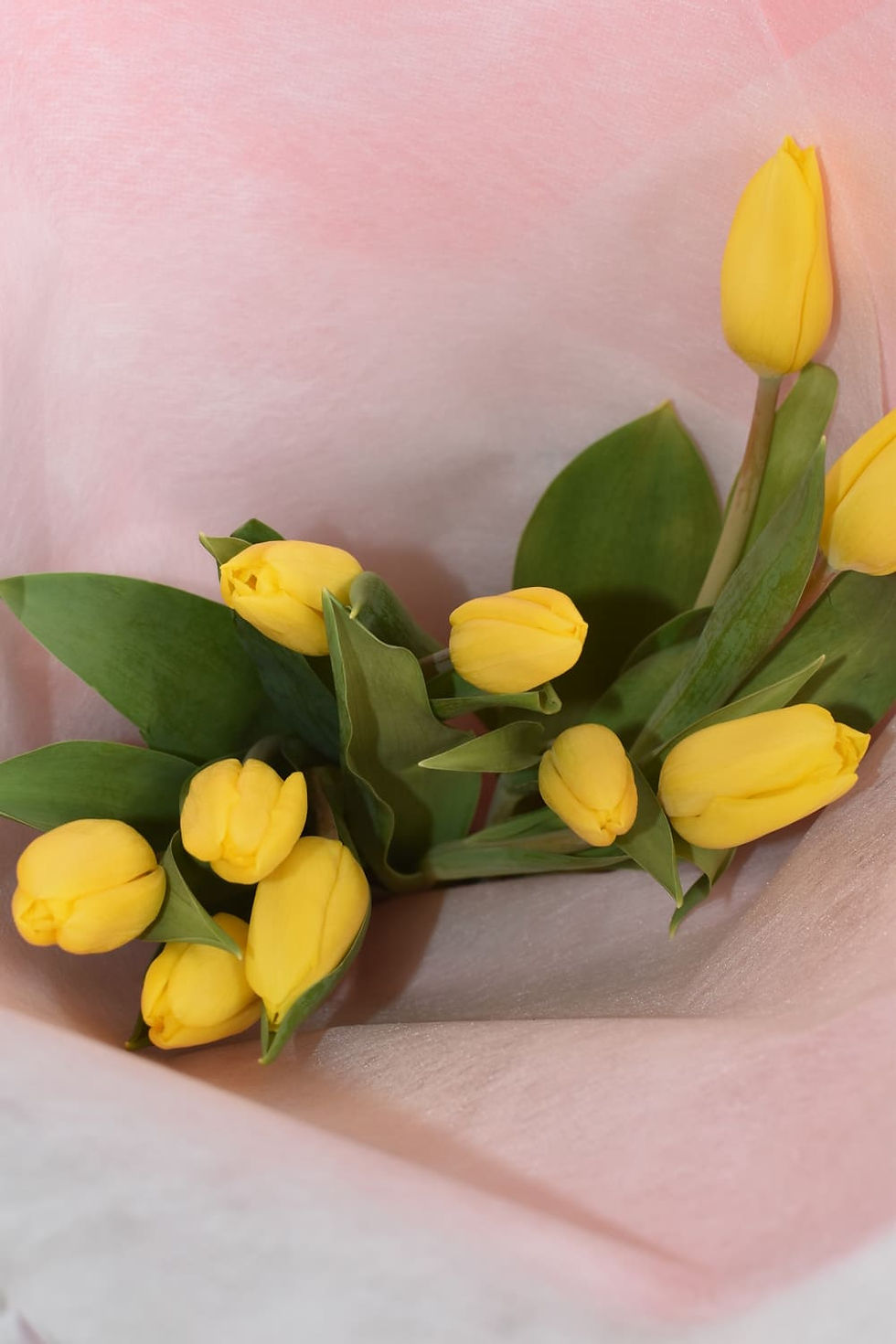 Pink wrapped yelllow tulip bouquet