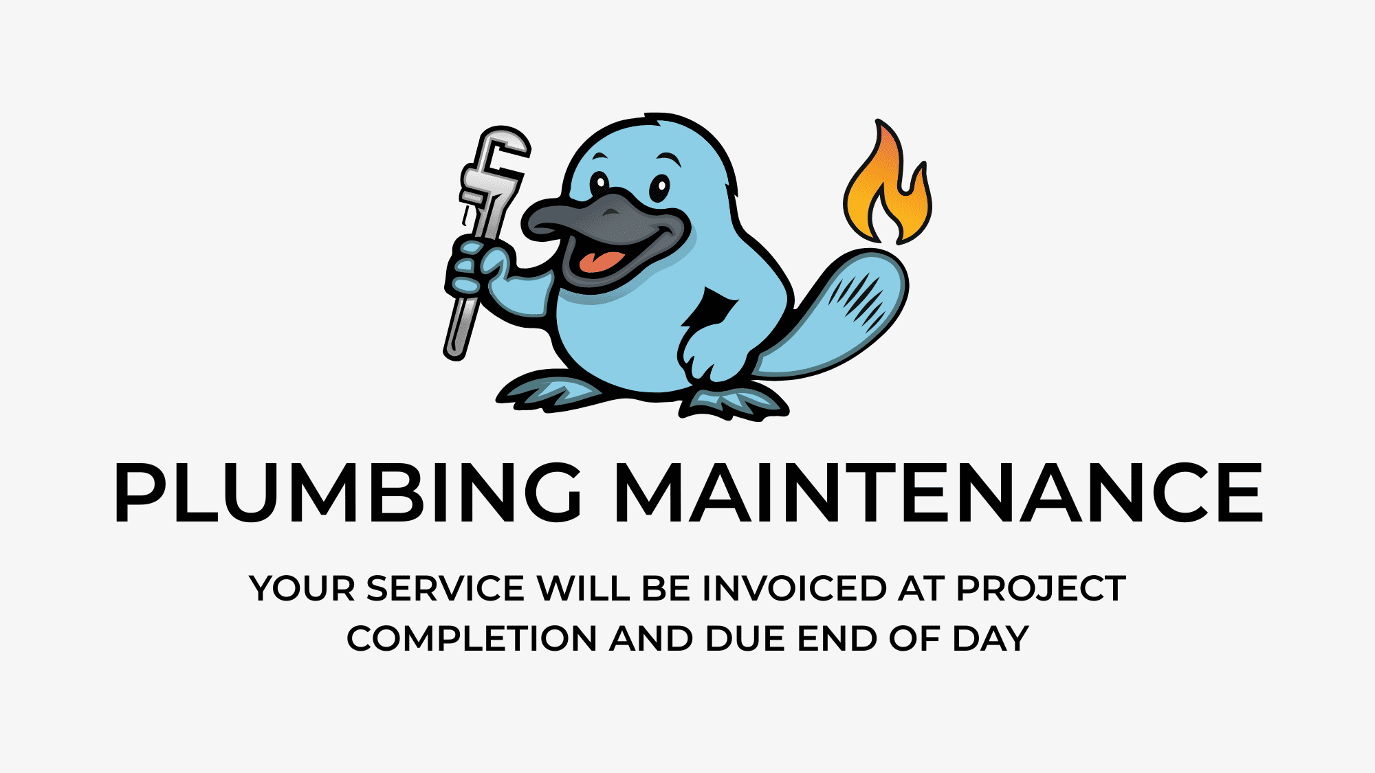 Plumbing maintenance appointment to be invoiced after work completion