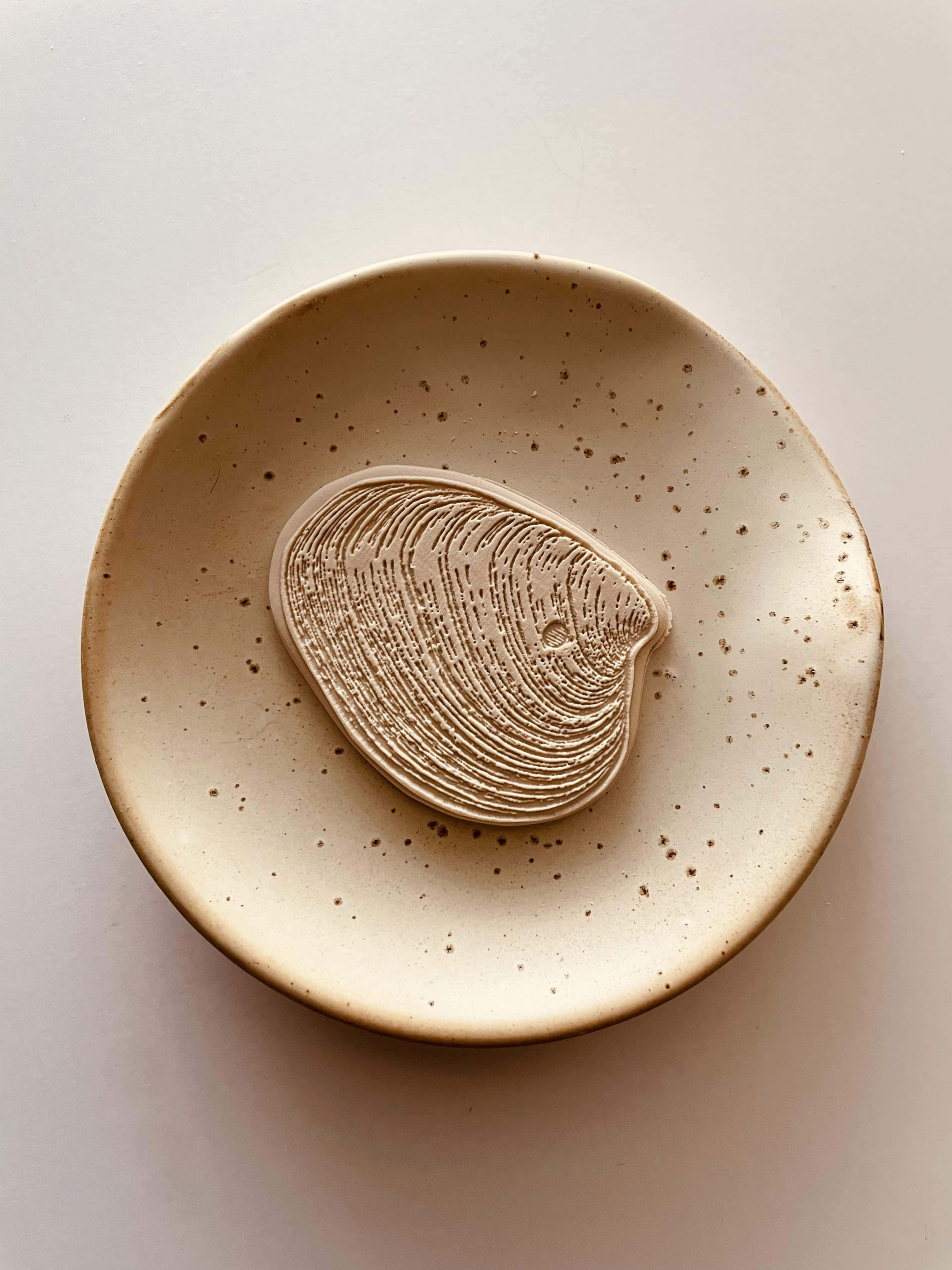 Tellin shell cookie cutter set applied on a fondant cookie